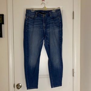 Lane Bryant Skinny 16 short